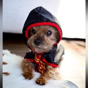 Harry Potter costume for dogs. Glasses and gown